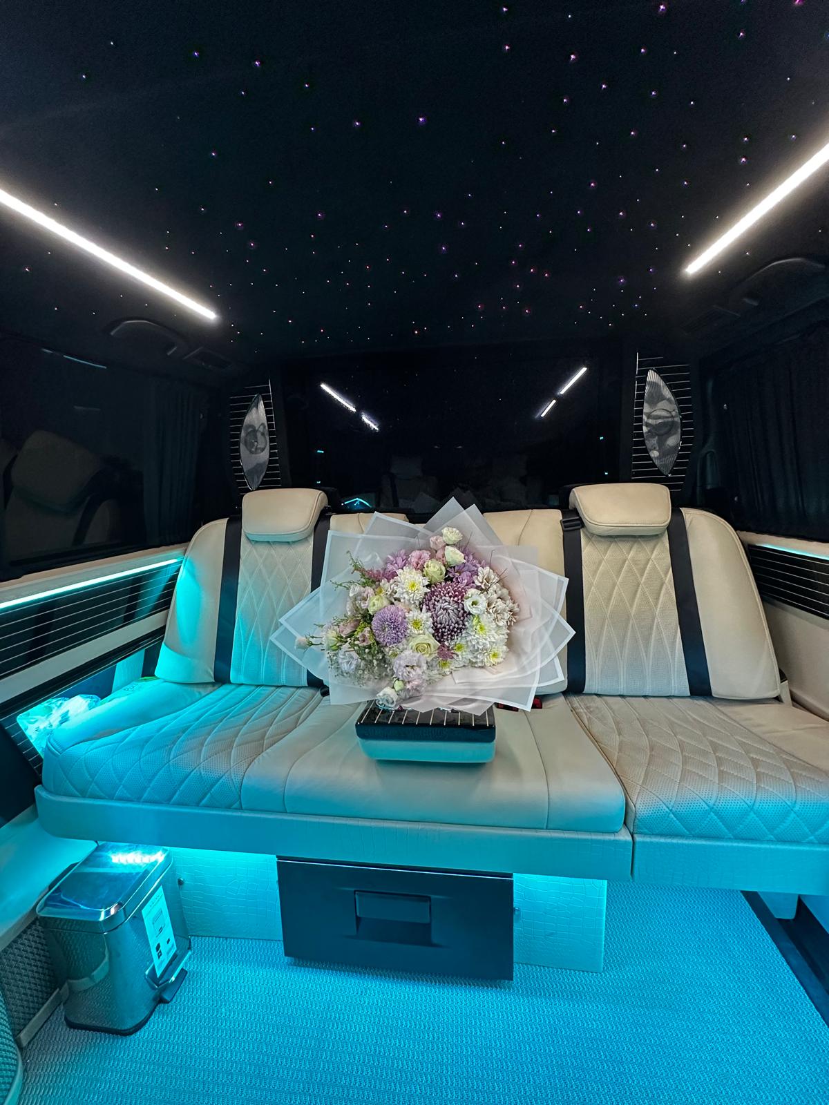 Mercedes  ULTRA LUXURY VİTO